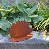 egel van ecoroest, 2 maten